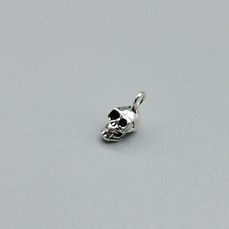 Pu&ograve; includere: Un ciondolo a forma di teschio in argento con un design dettagliato. Il teschio &egrave; rivolto a destra e ha un piccolo anello nella parte superiore per attaccarlo a una collana o un braccialetto.