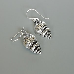 May include: A pair of silver earrings shaped like seashells. The earrings have a detailed, textured design and are made of metal.
