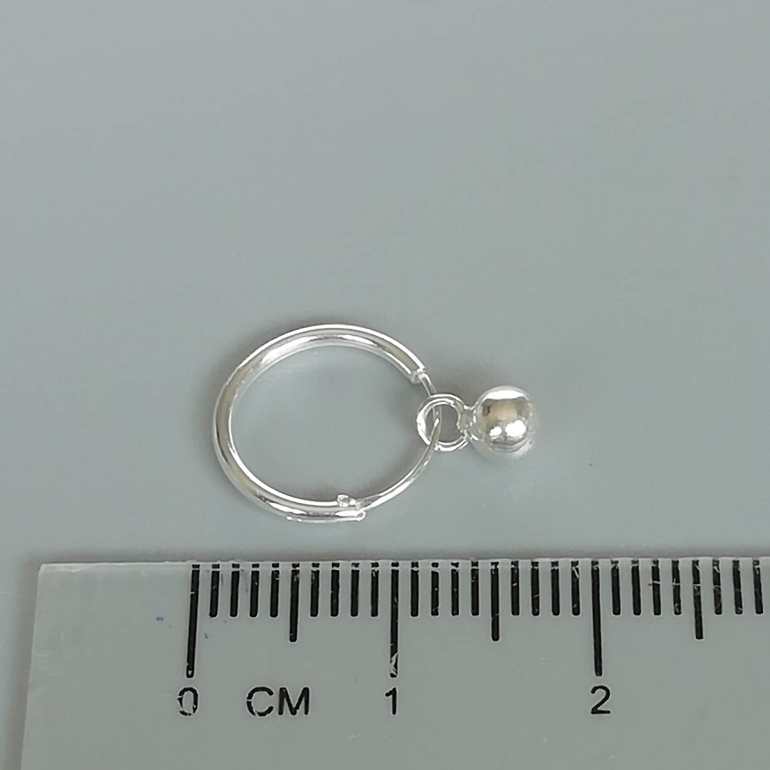 Silver Ball Hoop
