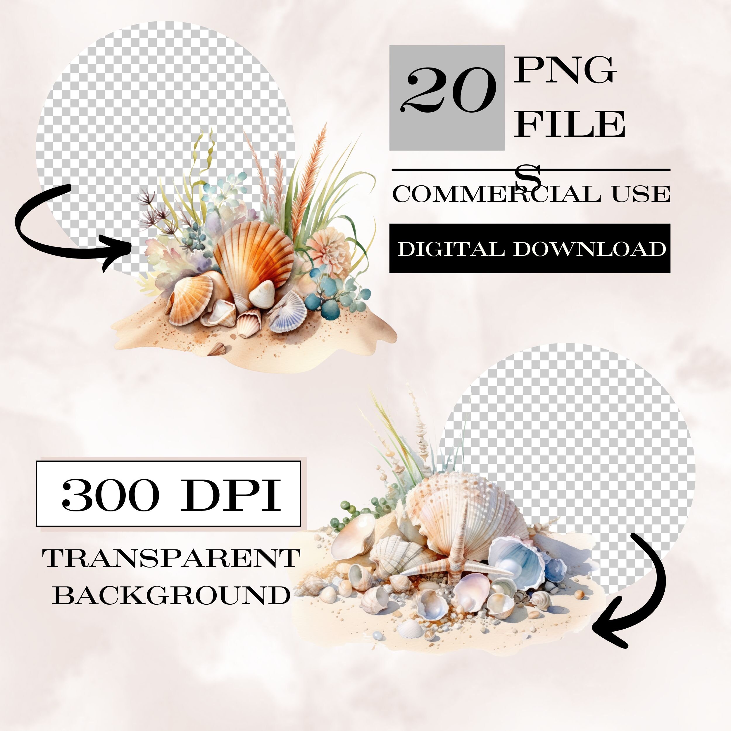 Watercolor Seashells Clipart,under the Sea Png,seashells Png,seashell ...