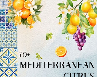 watercolor Mediterranean Citrus png,mediterranean tile png,citrus fruit,summer fruit png,Azulejo tile,mediterranean lemon,Azulejo tile