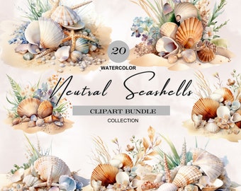 watercolor seashells clipart,under the sea png,seashells png,seashell art,beach png,beach vibes png,underwater png,starfish png,shell png