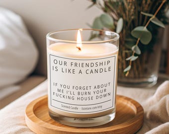 Scented Candle, Friendship Gift, Funny Friend Candle, Rude Candle, Swearing Candle, Funny Gift For Her, Christmas/Birthday Gift For Friend