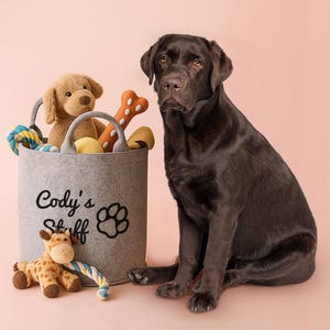 A black dog sits next to a gray bag labeled "Cody's Stuff" filled with various dog toys, including a stuffed giraffe.