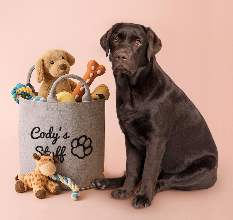 A black dog sits next to a gray bag labeled "Cody's Stuff" filled with various dog toys, including a stuffed giraffe.