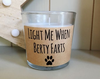 Scented Candle, Funny Candle, Gift for Dog Lovers, Dog Candle, Fun Gift for Men, Gift for Dad, Joke Gift, Dog Fart, Vanilla Candle, DNFPP