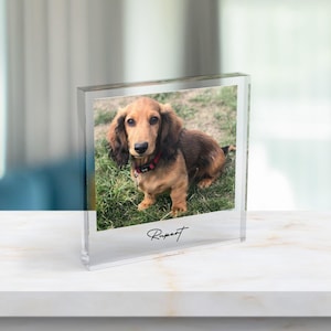 Bloque de acrílico con foto personalizada, impresión con foto familiar personalizada, regalo familiar, regalo conmemorativo por la pérdida de una mascota