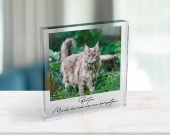 Cornice Portafoto Commemorativa Per Animali Domestici - Con Kit Impronte Argilla, 11x9", Nero/Bianco