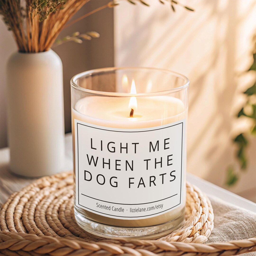 Dog Gifts, Light Me When the Dog Farts, Funny Gift for Dog Mum, Dog ...