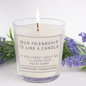 Scented Candle, Friendship Gift, Funny Gift For Friend, Rude Candle, Joke Candle, Funny Gift For Her, Christmas/Birthday Gift For Friend BFF