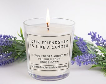 Scented Candle, Friendship Gift, Funny Gift For Friend, Rude Candle, Joke Candle, Funny Gift For Her, Christmas/Birthday Gift For Friend BFF