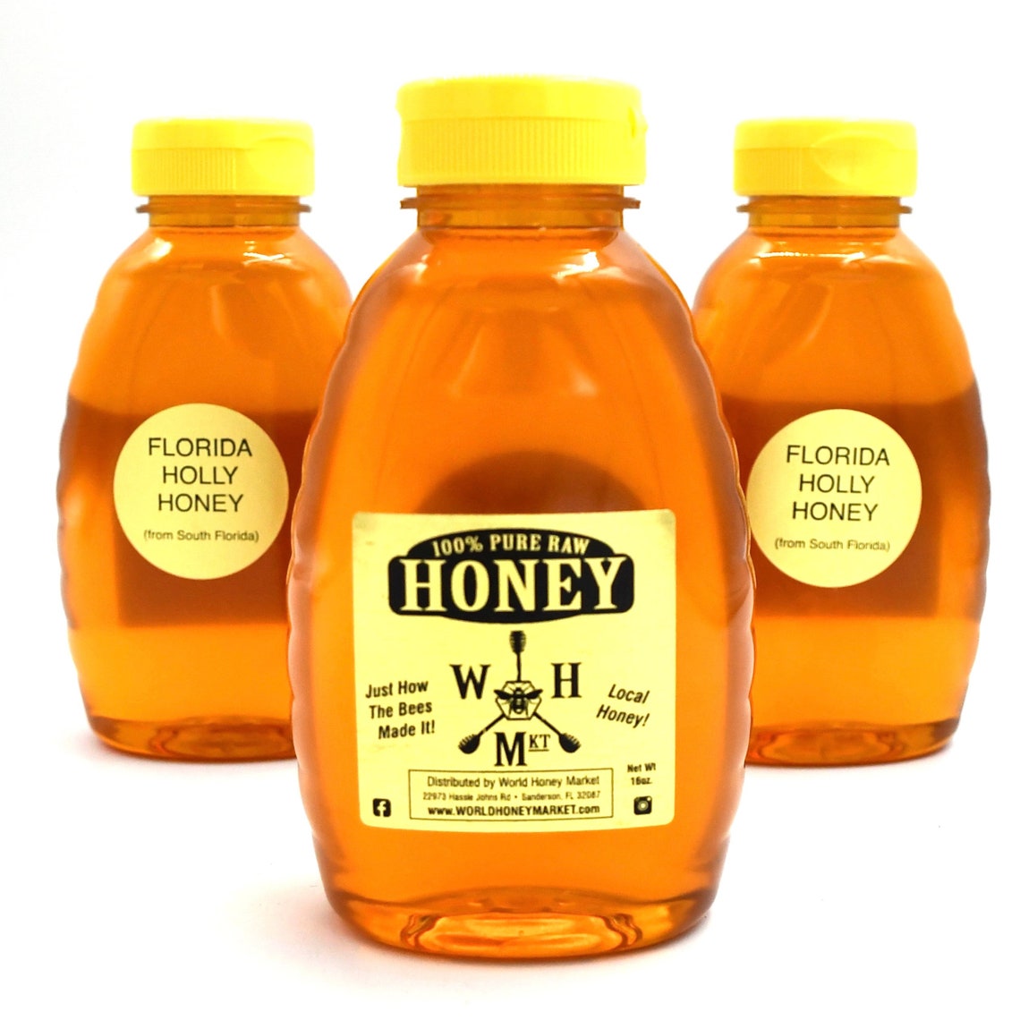 RAW Florida Holly Honey 100 Natural Pure 16 Oz Squeeze Etsy