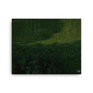 May include: An aerial view of a lush green forest with a patch of lighter green in the upper right corner. The forest is dense and appears to be in a remote area.