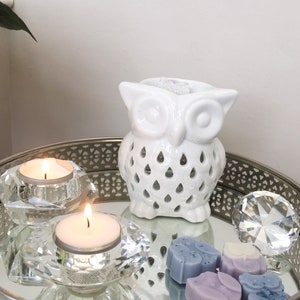 May include: White ceramic owl wax burner with a decorative cut-out design. The burner is on a silver tray with two tea light candles, a crystal, and wax melts.