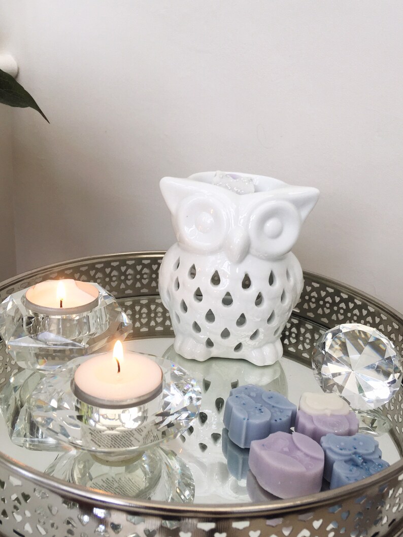 May include: White ceramic owl wax burner with a decorative cut-out design. The burner is on a silver tray with two tea light candles, a crystal, and wax melts.
