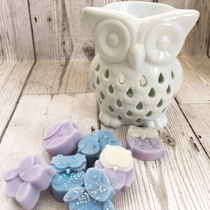 May include: A white ceramic owl wax burner with a decorative cut-out design.  The burner is surrounded by seven small owl-shaped wax melts in shades of purple and blue with glitter accents.