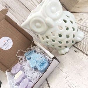 May include: A white ceramic owl wax melt burner with a decorative cutout design. The burner is next to a box containing four wax melts, two blue and two purple.
