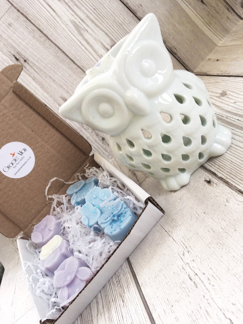 May include: A white ceramic owl wax melt burner with a decorative cutout design. The burner is next to a box containing four wax melts, two blue and two purple.