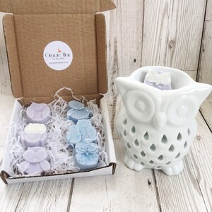May include: A set of six wax melts in the shape of owls, packaged in a white box with a brown lid. The box has a sticker with the text "Gracie May" and a website address. The wax melts are in shades of purple and blue, with some having glitter accents. A white ceramic owl wax burner is also included.