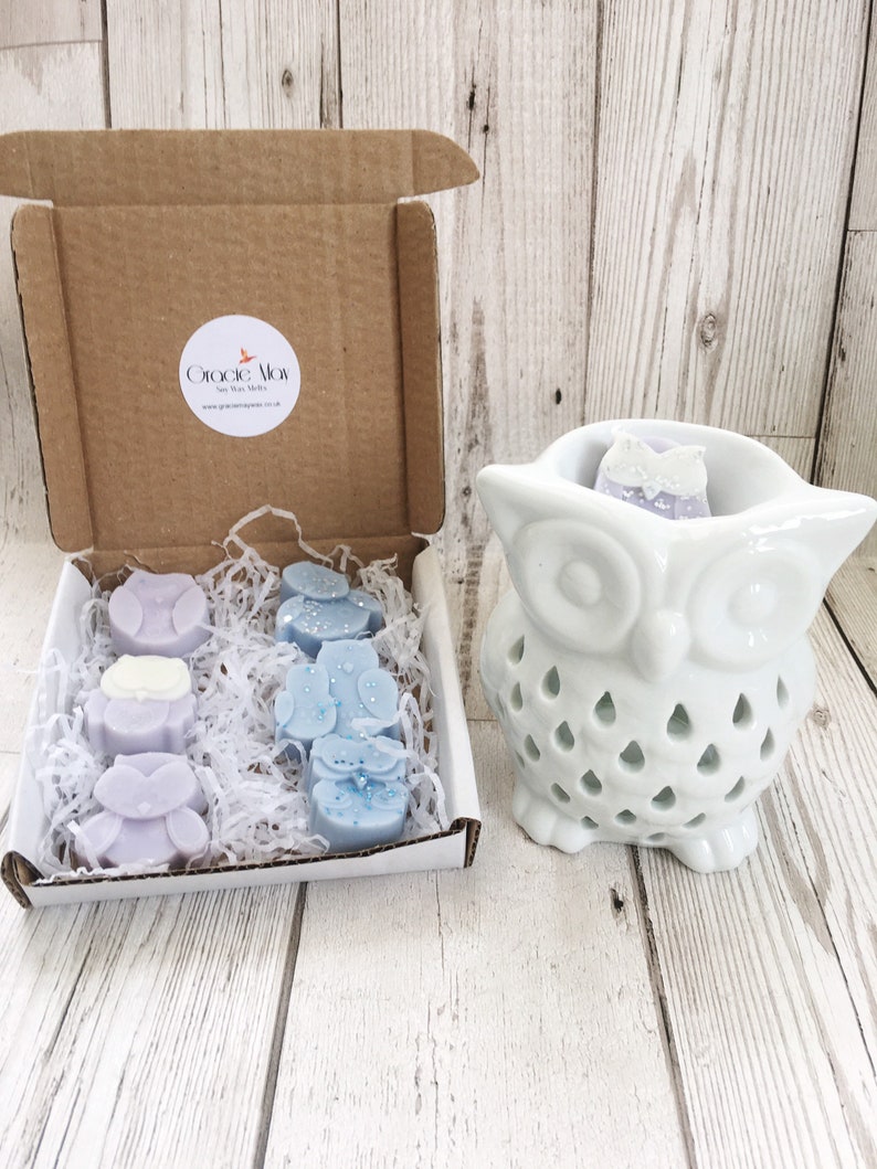 May include: A set of six wax melts in the shape of owls, packaged in a white box with a brown lid. The box has a sticker with the text "Gracie May" and a website address. The wax melts are in shades of purple and blue, with some having glitter accents. A white ceramic owl wax burner is also included.