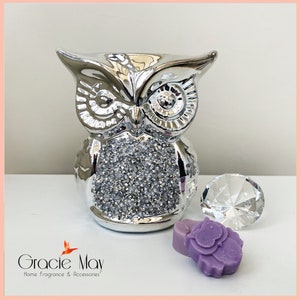 May include: A silver owl figurine with rhinestones, a clear crystal, and a purple owl-shaped wax melt.