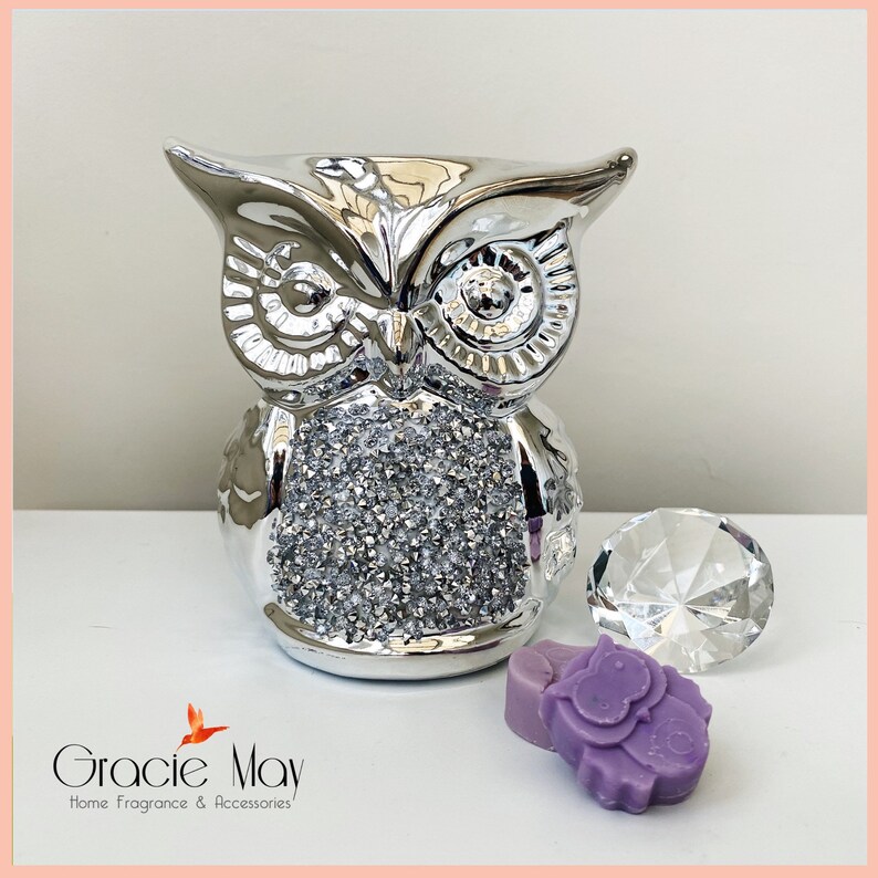 May include: A silver owl figurine with rhinestones, a clear crystal, and a purple owl-shaped wax melt.