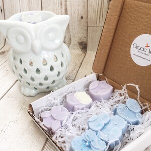 May include: A set of six wax melts in a white box with a white owl wax burner. The wax melts are in the shape of flowers and are lavender and blue with glitter. The box has a sticker that says "Gracie M Soy Wax Melts www.graciemywax.co.uk"