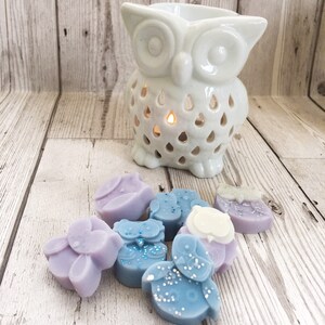 May include: A white ceramic owl wax warmer with a candle inside.  There are eight small wax melts in the shape of owls, some with glitter, in shades of purple and blue.
