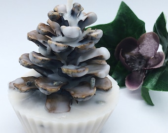 Large Pinecone Soy Wax Fire Starter, Gift Boxed, Eco-Friendly
