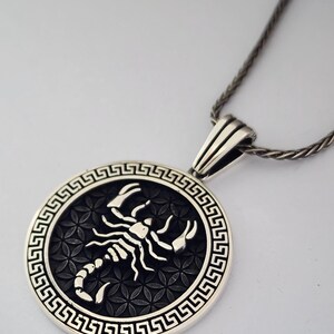 May include: A silver pendant necklace with a scorpion design. The circular pendant has a black background with a floral pattern and a Greek key border. The scorpion is in silver. The chain is also silver.