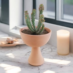 Terracotta indoors Plant Pot, Raised Succulent, Cacti or seedling starter Planter, A charming piece of Boho desk decor