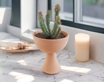 Terracotta indoors Plant Pot, Raised Succulent, Cacti or seedling starter Planter, A charming piece of Boho desk decor