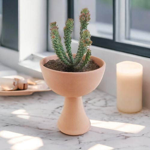 Terracotta indoors Plant Pot, Raised Succulent, Cacti or seedling starter Planter, A charming piece of Boho desk decor