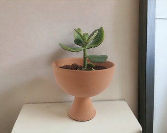 Natural Terracotta pocket Pot, Perfect Plant Lover Gift! A cute Minimalist Boho Indoors house plants