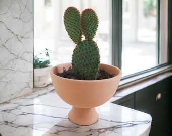 Mini Terracotta Plant Pot, A cute handmade Seedling starter for plant lovers ! unique Bohemian Indoors Table Decor