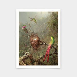 Martin Johnson Heade,Hummingbirds, 1871,art prints,Vintage art,canvas wall art,famous art prints,V6379