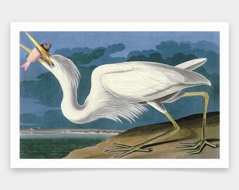 John James Audubon, Great White Heron, odbitki artystyczne, sztuka vintage, sztuka ścienna na płótnie, słynne odbitki artystyczne, q1859