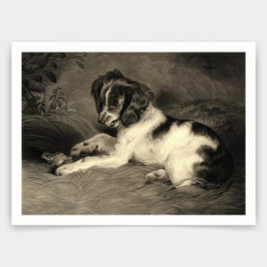 Edwin Landseer,Puppy and Frog,art prints,Vintage art,canvas wall art,famous art prints,V3616