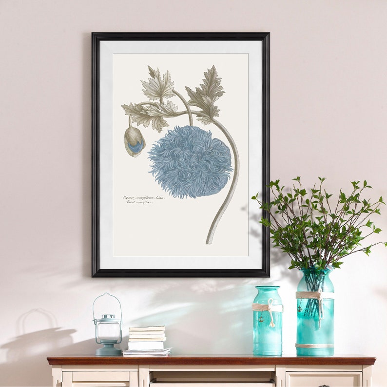 plant print,Framed Prints,wall art prints,Hanging Canvas print,xf2870 Blue flower print,Plant illustration