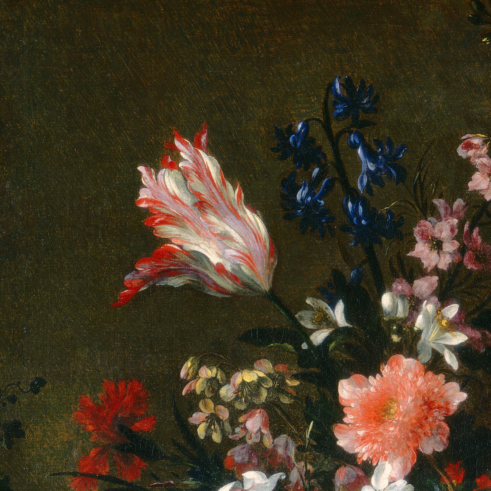 17世紀 花卉画 画集 17th-century Flower Painting