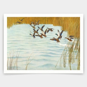 Newell Convers Wyeth,Mallards in Autumn,art prints,Vintage art,canvas wall art,famous art prints,V4660