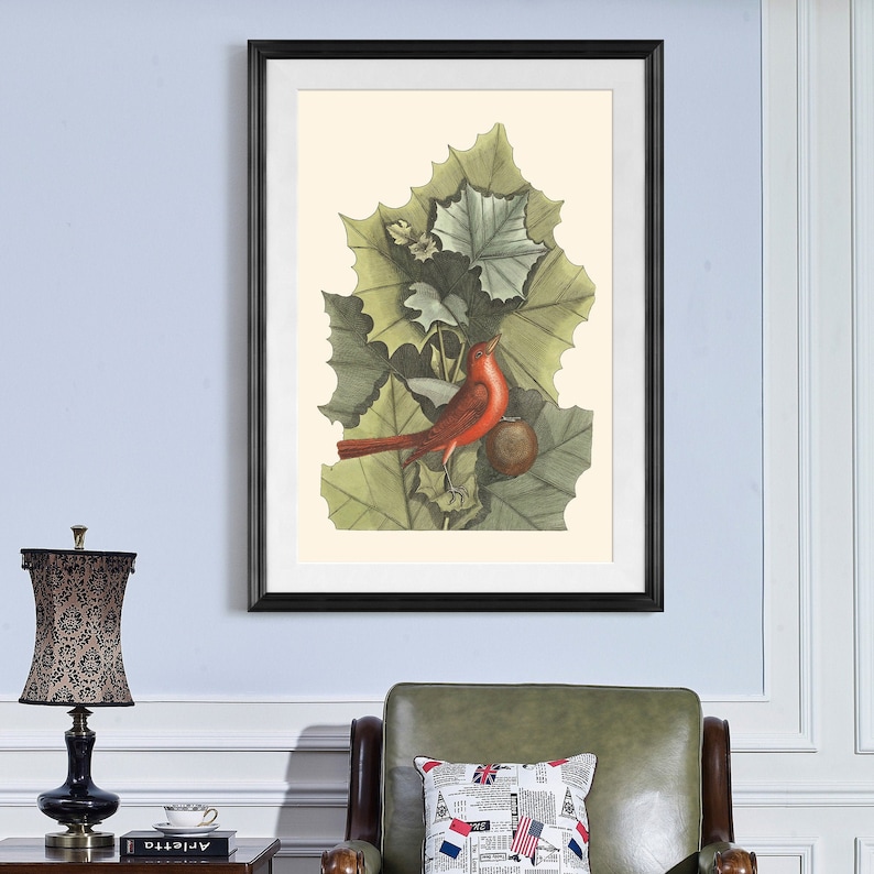Mark Catesby,Red bird on green leaves red bird print,Framed Prints,wall art prints,Hanging Canvas print,xf2935