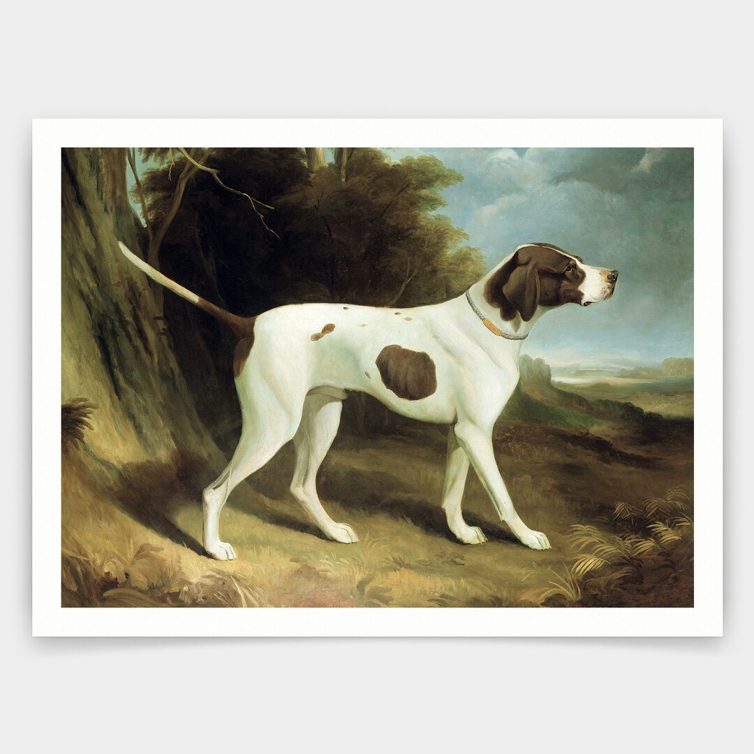 George Garrard,portrait of a Liver and White Pointer,art Prints,vintage ...