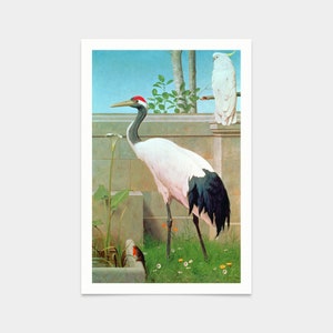 Puede incluir: Una grulla blanca con cabeza roja y plumas de cola negras se encuentra en un jardín. Un cacatúa blanco se posa en una pared de piedra detrás de la grulla. Un pequeño pájaro rojo es visible en primer plano.