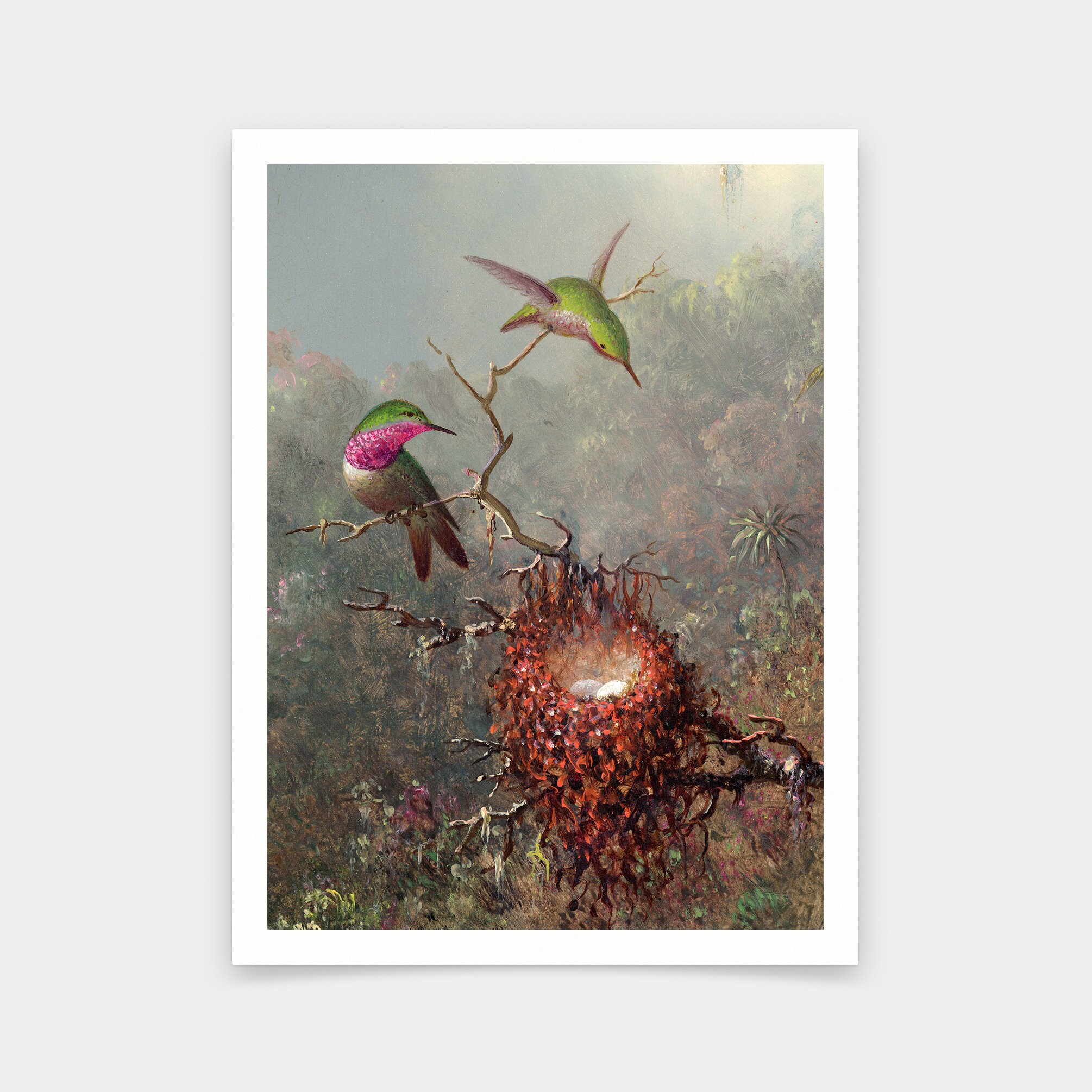 Martin Johnson Heade,Two Hummingbirds, 1871,art prints,Vintage art,canvas wall art,famous art prints,V6382