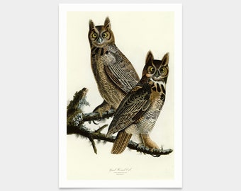 John James Audubon, Gran Búho, grabados de arte, arte vintage, arte de pared de lienzo, grabados de arte famosos, q2358