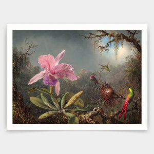 Martin Johnson Heade,Cattleya Orchid and Three Hummingbirds,art prints,Vintage art,canvas wall art,famous art prints,q1221