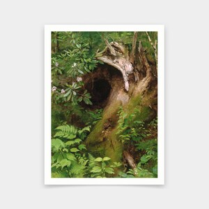 May include: A painting of a forest scene with a large tree trunk with a hollow in it. The hollow is dark and the tree trunk is covered in moss. There are green ferns and leaves around the tree trunk.
