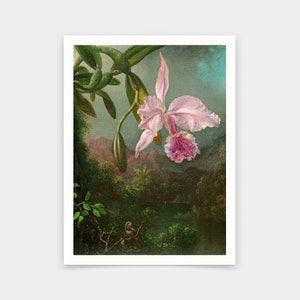 Martin Johnson Heade,Orchid Blossoms, 1873,art prints,Vintage art,canvas wall art,famous art prints,V6380