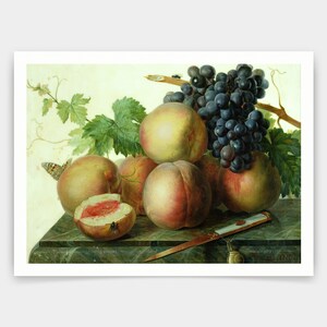 Puede incluir: Un bodegón que representa melocotones maduros, un racimo de uvas oscuras y un melocotón cortado. También hay un cuchillo y un caracol. También se ven una mariposa y una mosca.